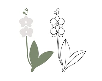 Hand Drawn Orchid Plant SVG: Flower Cut File, Clipart (Commercial Use)