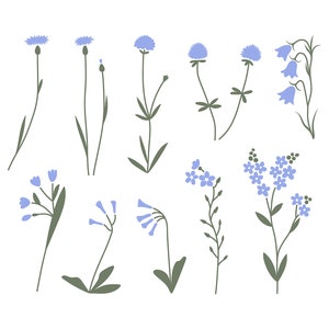 Könnte beinhalten: Ein Set mit 12 blauen und grünen Wildblumen, darunter Vergissmeinnicht, Kornblumen und Glockenblumen. Diese Illustrationen sind perfekt, um Ihren Designs einen Hauch von Natur zu verleihen.