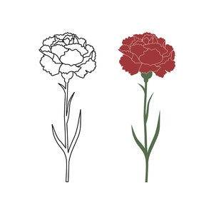 May include: A line drawing of a carnation flower in black and a filled-in carnation flower in red.