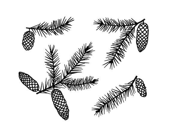 Tannenzweig und Tannenzapfen Clipart: Weihnachtsdekoration SVG, EPS, PNG (digitaler Download)