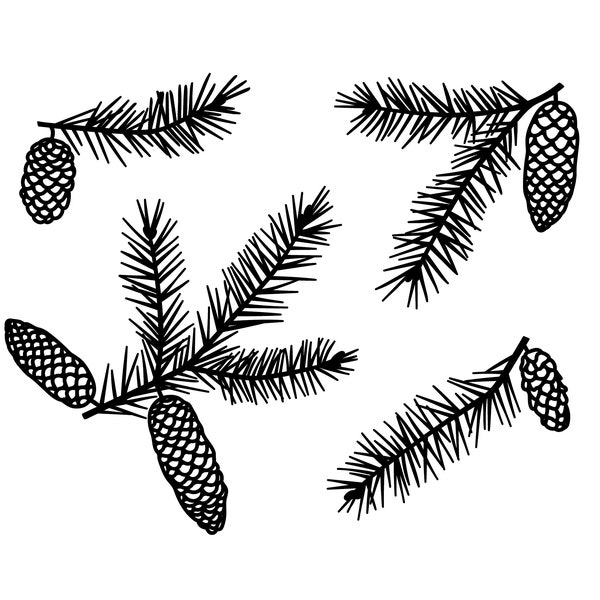 Fir Branch SVG, EPS, PNG download, Pine Cone, Christmas Tree Clipart, Christmas Decoration, Cut File, Commercial Use, Digital Download.