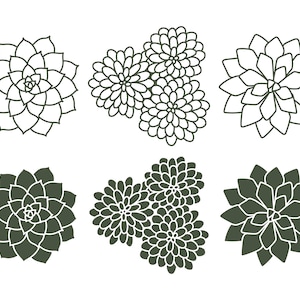 Sukkulenten SVG, EPS, PNG Download, Sukkulenten, Pflanzen svg, Sukkulenten Clipart, Silhouette Svg, Svg Cut Dateien, kommerzielle Nutzung