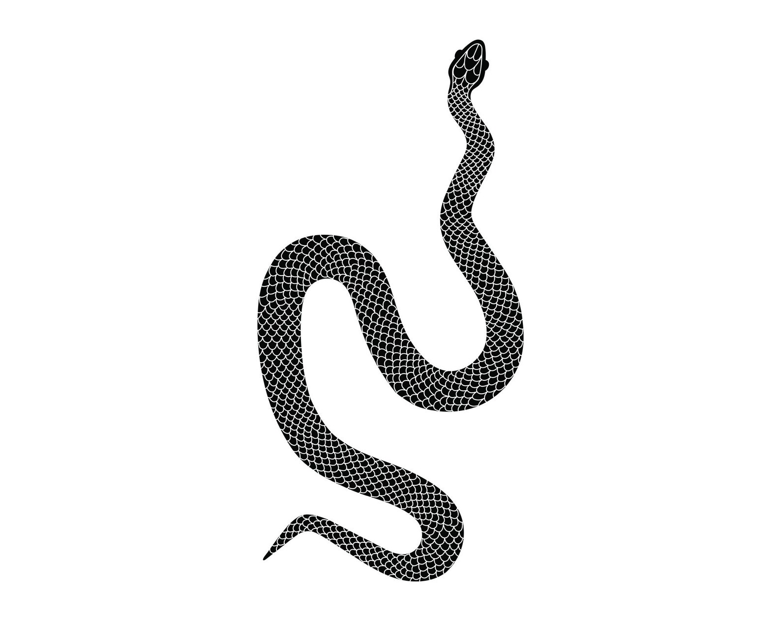 Snake Svg, Python Svg, Reptile Svg Cut File, Snake Cricut Svg ...