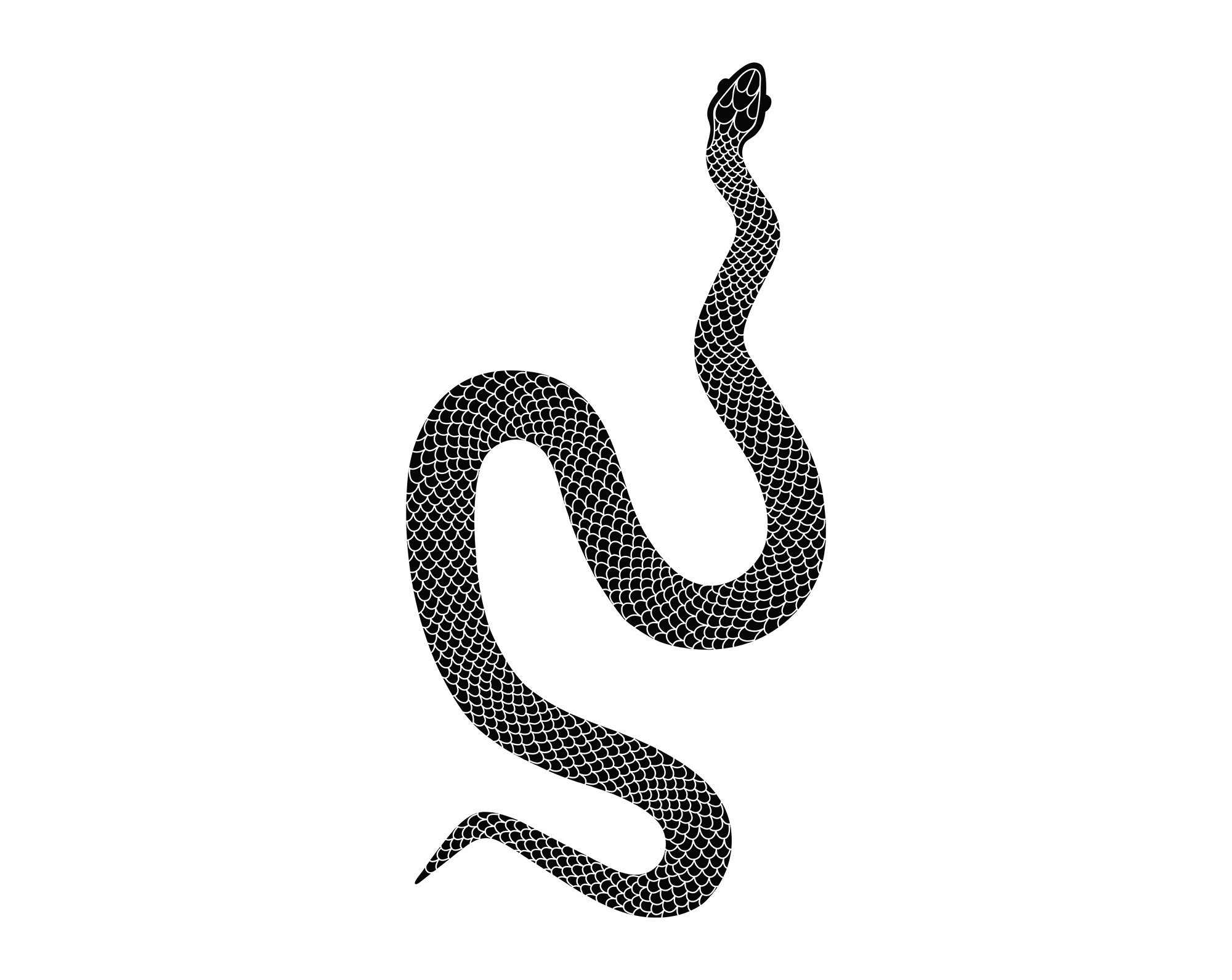 Snake Svg, Python Svg, Reptile Svg Cut File, Snake Cricut Svg ...