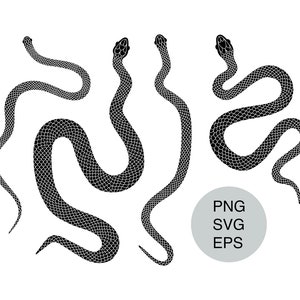 Snake SVG Bundle: Hand Drawn Reptile Clipart (Commercial Use)