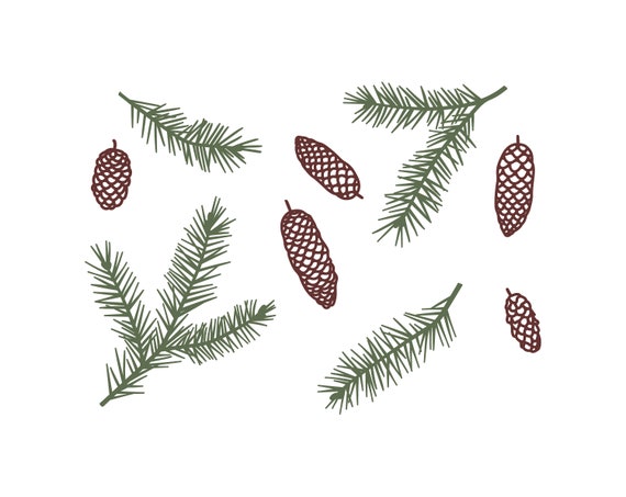 Tannenzweig und Tannenzapfen Clipart: Weihnachtsdekoration SVG, EPS, PNG (digitaler Download)