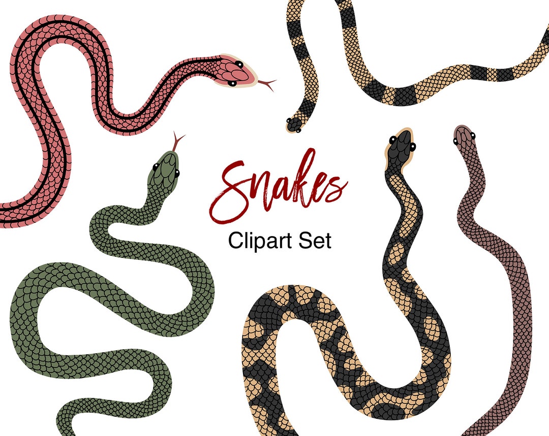 Snake Clipart Png, Snake PNG Files, Snakes Digital Clipart, Snake ...