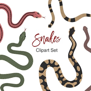 Op de afbeelding: Een set van vijf kleurrijke slangillustraties met de tekst "Snakes Clipart Set". De slangen zijn in verschillende poses en hebben verschillende patronen, waaronder groen, rood, zwart en wit.