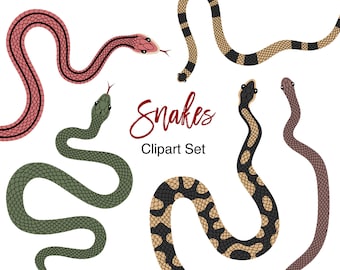 May include: A set of five colorful snake illustrations with the text "Snakes Clipart Set". The snakes are in various poses and have different patterns, including green, red, black, and white.
