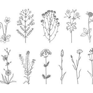 Wildflower Line Art Clipart: Floral SVG, PNG, EPS (Commercial Use)