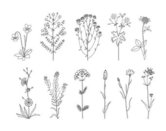 Wildflower Line Art Clipart: Floral SVG, PNG, EPS (Commercial Use)