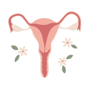 Uterus Clipart, Uterus Png File, Floral Uterus Digital Clipart, Womens Rights, My Body Illustration, Hand Drawn Png Download, Commercial Use