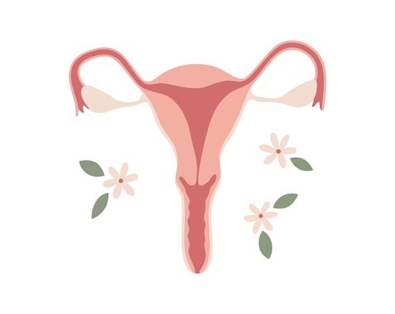 Uterus Clipart, Uterus Png File, Floral Uterus Digital Clipart, Womens  Rights, My Body Illustration, Hand Drawn Png Download, Commercial Use -   Canada