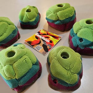 May include: Seven multi-colored climbing holds with a textured surface. The holds are green, teal, and burgundy, with a hole in the center. A small card with the text "BarnHolds Climbing" is also present.