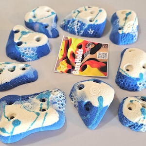 CUSTOM - BarnHolds - Rock Climbing Holds Set: Bacteria Spore Crimps