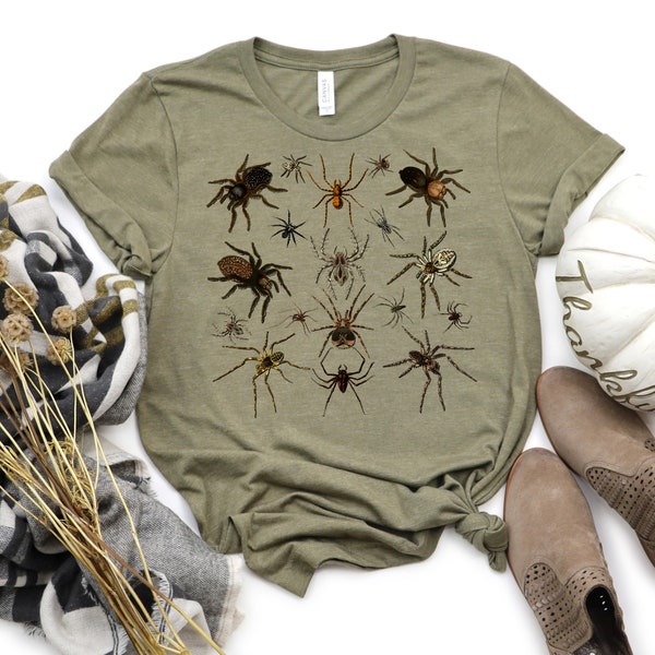 Entomology Spider Insect T-Shirt, Halloween Cottagecore Tee, vintage Halloween Spider Shirt, vintage Aesthetic Clothes, Forestcore Insects