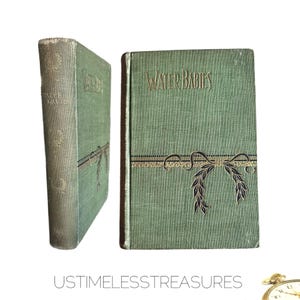 1891 The Water Babies A Fairy Tale for A Land-Baby By Charles Kingsley Antique Book
