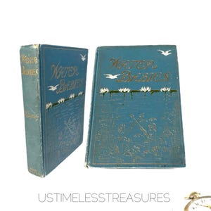 1900 The Water Babies A Fairy Tale for A Land-Baby By Charles Kingsley Antique Beautiful Book