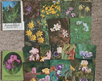 BLUMEN-POSTKARTEN - 2 x 16 Vintage Blumenpostkarten aus der Sowjetunion - UDSSR Postkarten Sammlung Kunst Projekte Scrapbooking Journaling