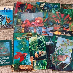 Set di cartoline FISH - Il colorato mondo dell'acquario - cartoline da collezione degli anni '70/'80 - Made in URSS - cartoline vintage