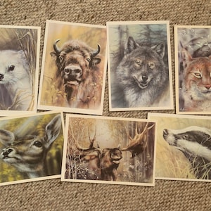 7 CARTOLINE ANIMALI DI Isakov - Cartoline sovietiche - Lupo, lince, tasso ecc. - Cartoline d'epoca dell'URSS - Cartoline artistiche da collezione stampate negli anni '80