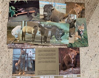 ANIMAL Postkarten Tallinn Zoo von 1989. Vintage Set von 15 bunten unbenutzten Postkarten. Wilde Tiere. Gedruckt in UDSSR. Sammler Postkarten.
