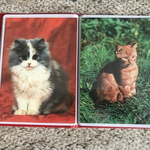 24 cartoline vintage con gatti in un delizioso album fotografico rosso. Carte di gatti da collezione o post-incrocio. Inutilizzato, nuova condizione. Guarda le foto!