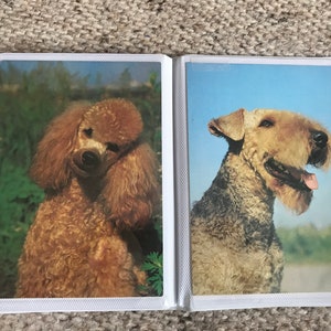 24 postales vintage de perros en un precioso álbum de fotos. Tarjetas de perros coleccionables. Estado nuevo, sin uso. ¡Ver fotos! ¡Idea de regalo!
