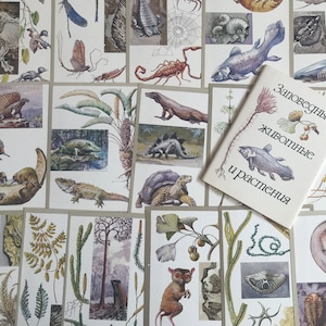 ANIMALI E PIANTE PROTETTI - VINTAGE_SOVIET_POSTCARDS - Set di 16 cartoline (1979) - Cartoline d'arte vintage. Cartoline retrò. Collezione URSS