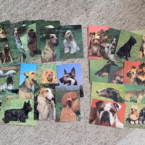 Cartes postales vintage pour chiens imprimées dans les années 1980. Cartes postales de collection Tchèque, Pologne, DDR/RDA (Allemagne de l'Est), Union soviétique/URSS. Beaux animaux. Chiens