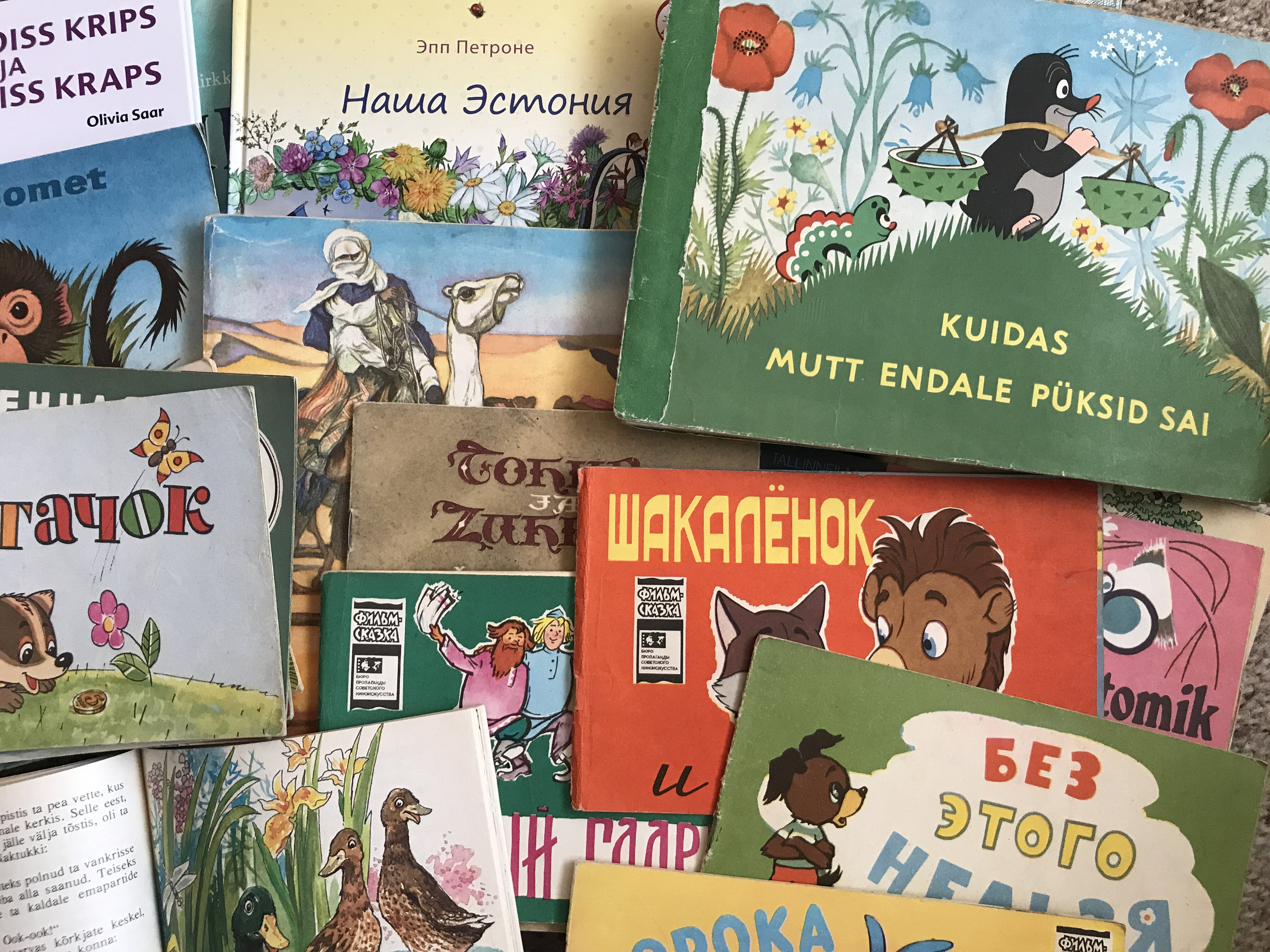 ソビエト時代（1950～1991年）のロシアの児童書。愛らしいレトロな絵本