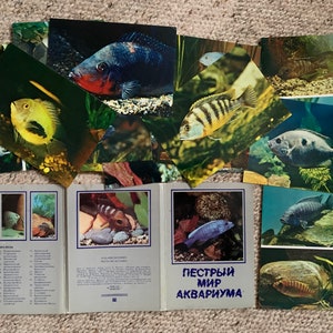 CARTES POSTALES POISSON - Lot de 25 cartes postales soviétiques - Cartes postales à collectionner imprimées en URSS de 1983 - Papier éphémère, journalisation, scrapbooking, création artistique
