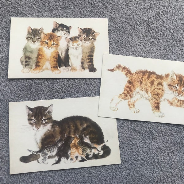 Set of 3 Lovely Vintage Cat Postcards. Soviet Collectible cat cards from 70s. Unused. See photos!