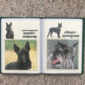 24 postales vintage de perros en un precioso álbum verde. Tarjetas de perros coleccionables. Estado nuevo, sin uso. ¡Ver fotos! ¡Idea de regalo!