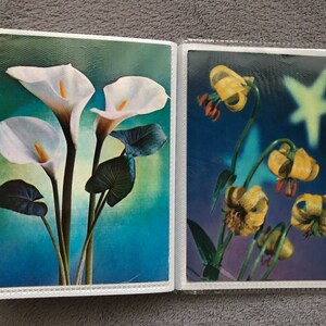 38 Vintage Flower/Floral Postcards in a Lovely Photo album. Collectible Flora cards. Unused, new condition biology postcards. Gift idea!
