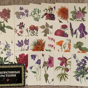 Plantes décoratives - 16 cartes postales florales/fleuries vintage de l'époque soviétique des années 80 - Collection de cartes postales de l'URSS, projets artistiques, scrapbooking, journalisation