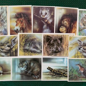 13 CARTOLINE ANIMALI DI Isakov - Cartoline sovietiche - Cervo, Lince, Riccio, Orango, Cinghiale, Cavallo, Gatto selvatico ecc. - Cartoline d'epoca dell'URSS