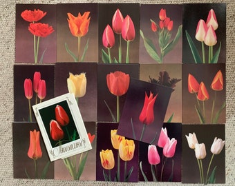 TULIP POSTKARTEN - 16 Vintage Blumen / Blumen Postkarten aus der Zeit der Sowjetunion - UdSSR Postkarten für Sammlung Kunstprojekte Scrapbooking Journaling