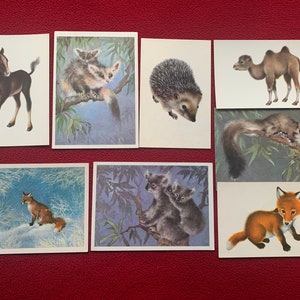 Isakov ANIMAL POSTCARDS - cartes postales soviétiques - renard, poulain, chameau, koala, hérisson, cheval - cartes postales vintage de l'URSS - cartes postales d'art à collectionner