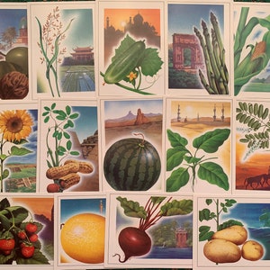 Cartes postales BIOLOGY LEGUMES - 14 cartes botaniques soviétiques - Artist A.V. Zhomkov - Cartes postales d'art de collection, imprimées en URSS en 1988