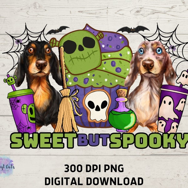 Dachshund Png | Halloween Printable Decor | Sweet But Spooky |Dachshund Sublimation | Dachshund Printable | Teckel Dog | Dackel Dog