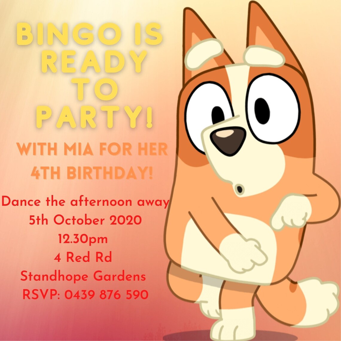 Bluey Bingo Healer Birthday Invitation Etsy