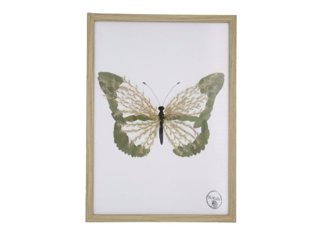 Herbier Papillon