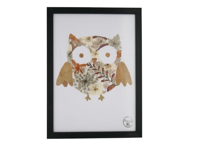 Herbier Hibou