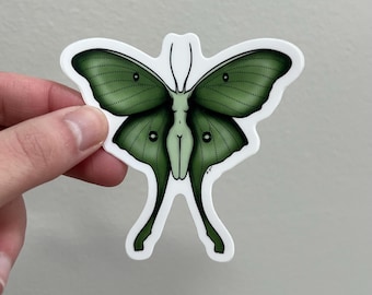 Luna Moth Sticker | Moth Sticker | Bug Sticker | Nature Lover Gift | Laptop Sticker | Water Bottle Sticker | Original Art Sticker