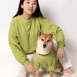 Waffle Raglan Matching Sweatshirt - Lime | Matching Pet Owner Set | Owner Dog Matching Outfits | Dog & Owner Clothes | Doggo Lover Cute Gift
