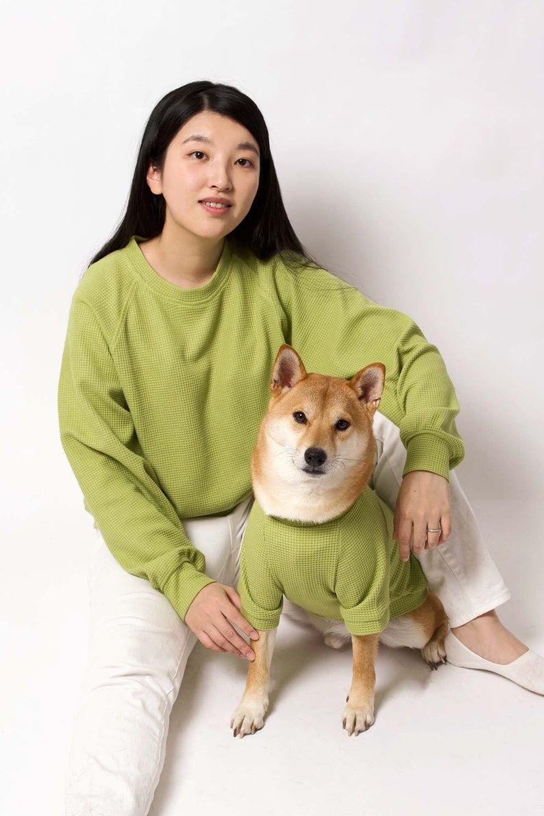 Waffle Raglan Matching Sweatshirt Lime Matching Pet Owner Set Owner Dog Matching Outfits Dog & Owner Clothes Doggo Lover Cute Gift image 1