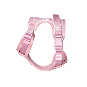 Harness Walk Kit - Pink | Walking dog harness set | Designer brand
