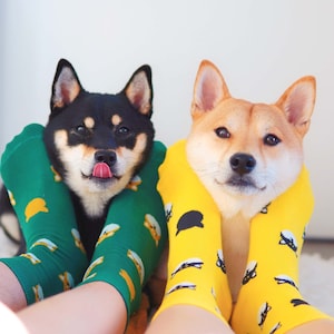 Shy Shiba Sock - Design for Shiba lovers, Shiba Inu Lover's Gift, Doge Meme Sock, Happy Dog Sock, Cute Shiba Inu Apparel, Dog-Themed Sock