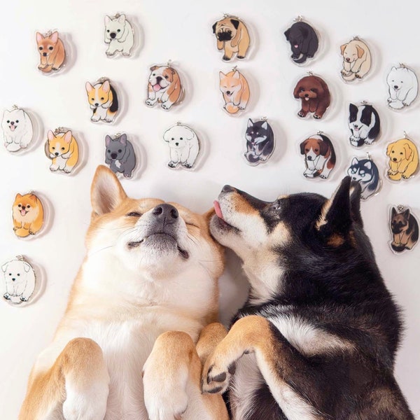 Shiba Acrylic Keychain | Shiba Inu Lover | Shiba Lover's Gift | 2-side Dog Charms | Kawaii Dog Accessories | Dog Person's Gift